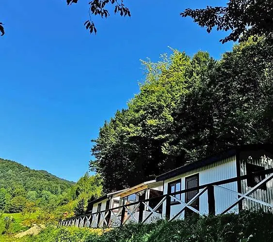 בית נופש панорама пікуй Belasovitsa